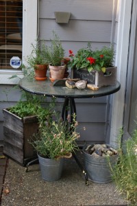 herbs on table