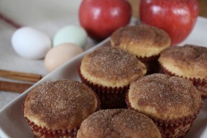 Homemade Applesauce Muffins