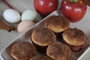 Applesauce Muffins